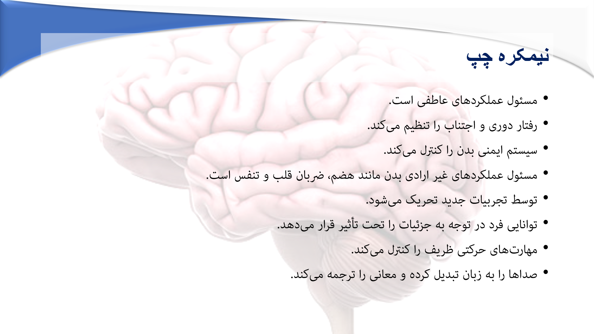 پاورپوینت در مورد نیم کره های مغز 